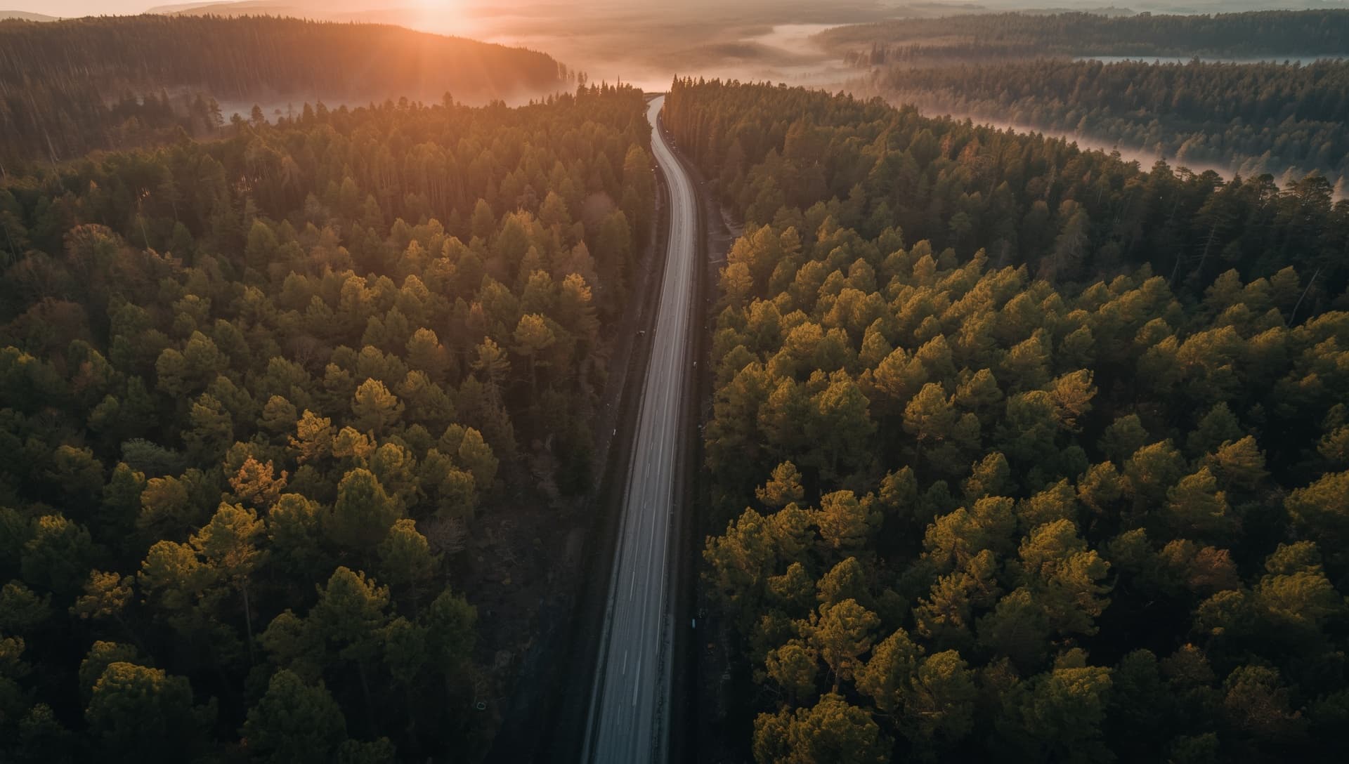 A forest road at sunset, seen from the driver's seat
